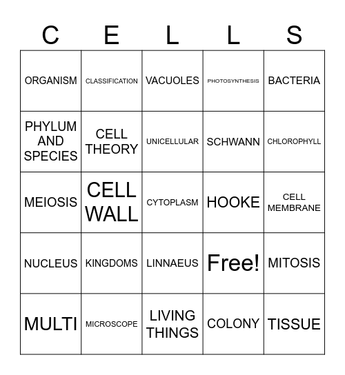 BJU Sci Ch 4 Bingo Card