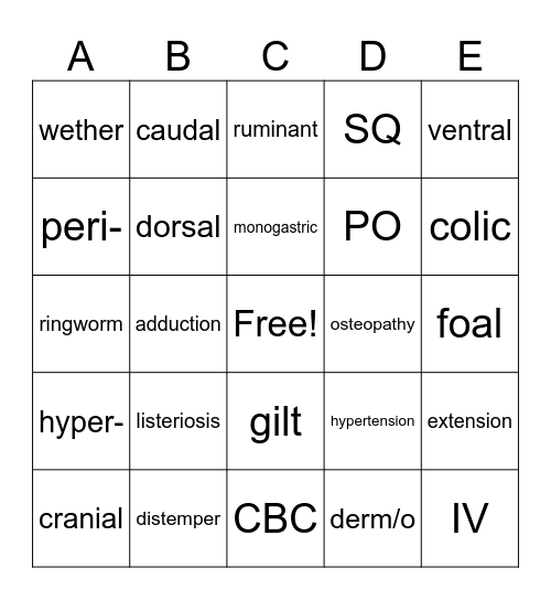 Medical Terminology Bingo Card