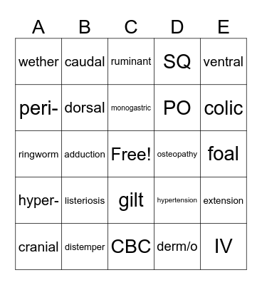 Medical Terminology Bingo Card