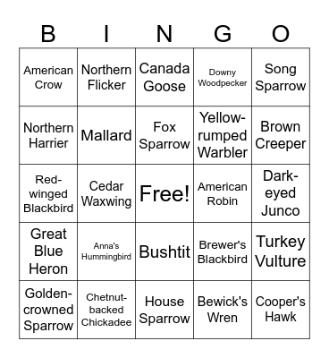 Panama Flats October Bird Bingo Card