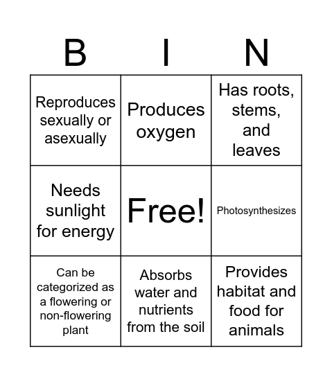 PLANT CHARACTERISTICS Bingo Card