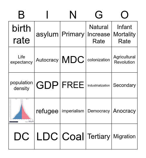 International Studies Bingo Card