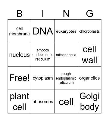 organelle bingo Card