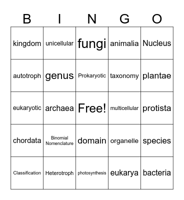 Classification Vocabulary Bingo Card