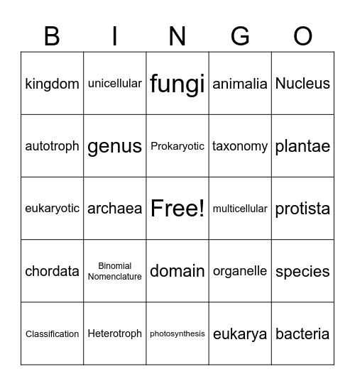 Classification Vocabulary Bingo Card