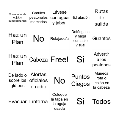 Bingo de Seguridad Bingo Card