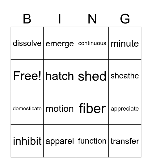 Lesson 6 Bingo Card