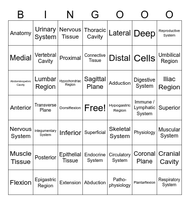Human Body Basics BINGOOO! Bingo Card