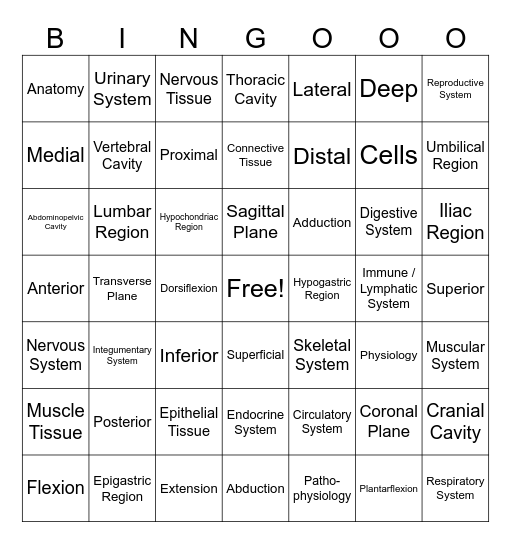 Human Body Basics BINGOOO! Bingo Card