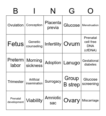 Fetal Development Vocabulary Bingo Card