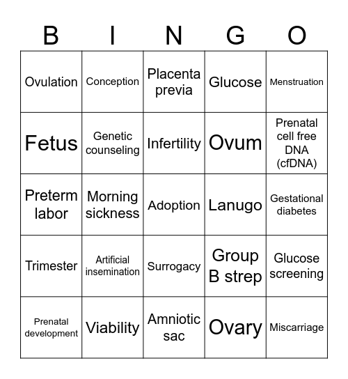 Fetal Development Vocabulary Bingo Card