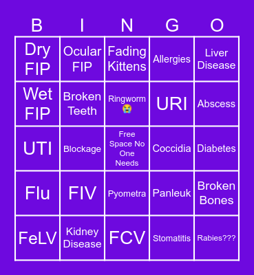 What's Wrong With This Cat Bingo Card