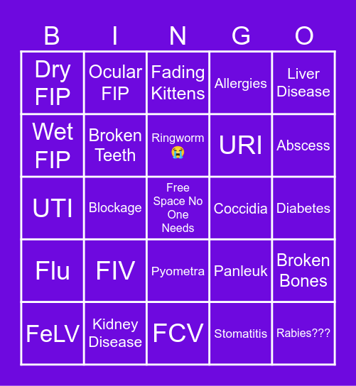 What's Wrong With This Cat Bingo Card