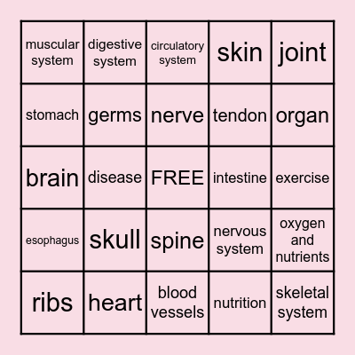 Human Body Systems Bingo Card
