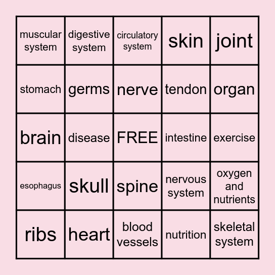 Human Body Systems Bingo Card