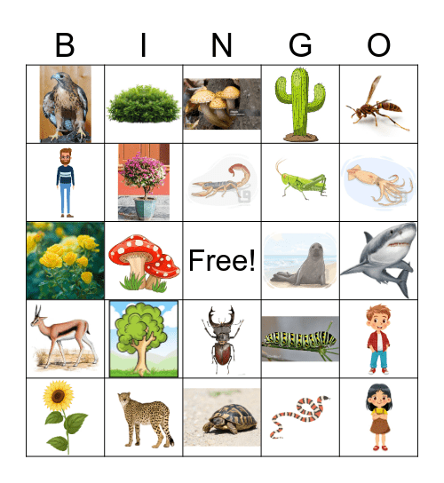 Living Things Bingo Card