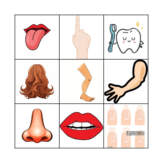 Body parts Bingo Card