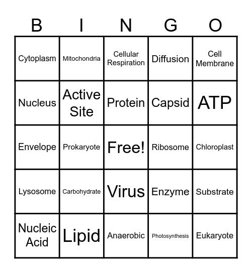 Q1 QSE Review Bingo Card