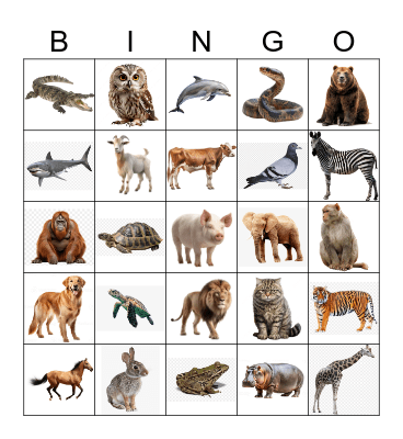 Animals Bingo Card
