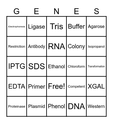 GENES Bingo Card