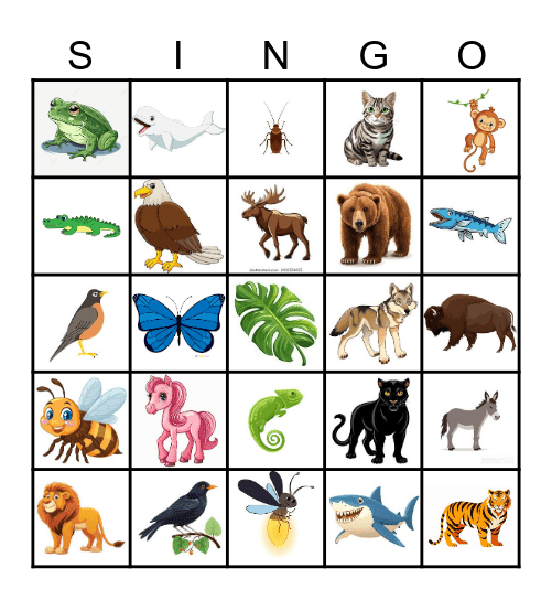 THE WILD! Bingo Card