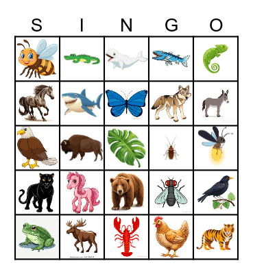 THE WILD! Bingo Card
