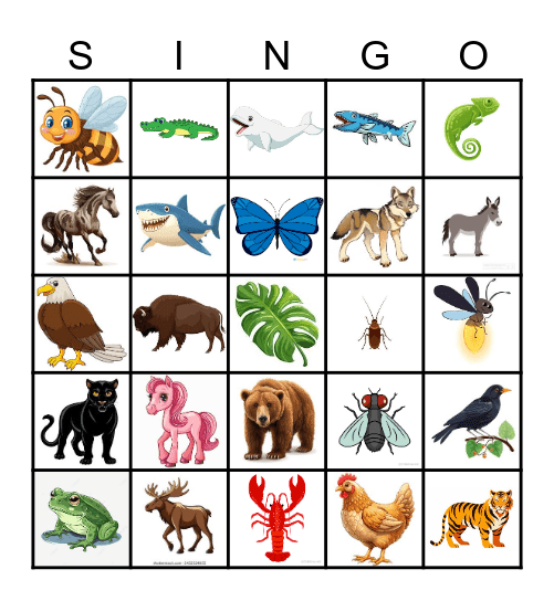 THE WILD! Bingo Card