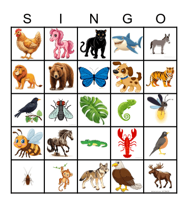 THE WILD! Bingo Card