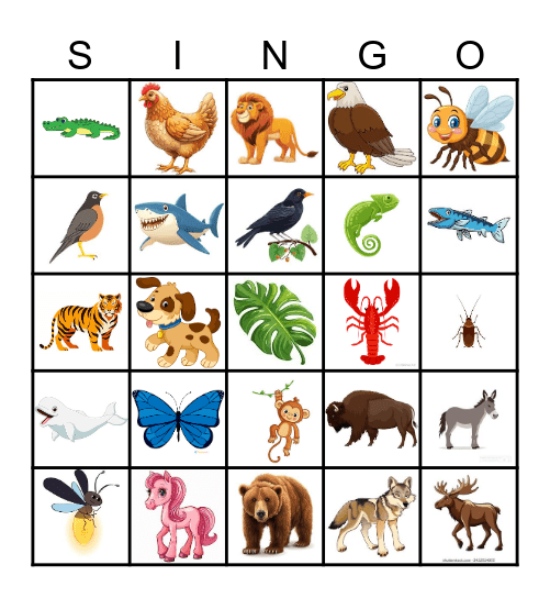THE WILD! Bingo Card