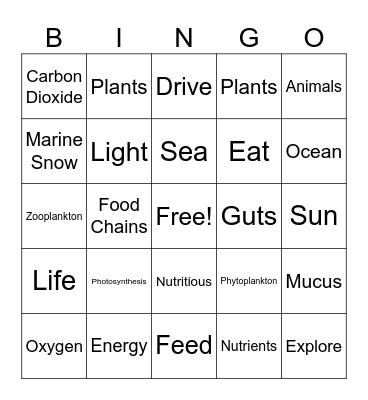 Ocean Sunlight Bingo Card