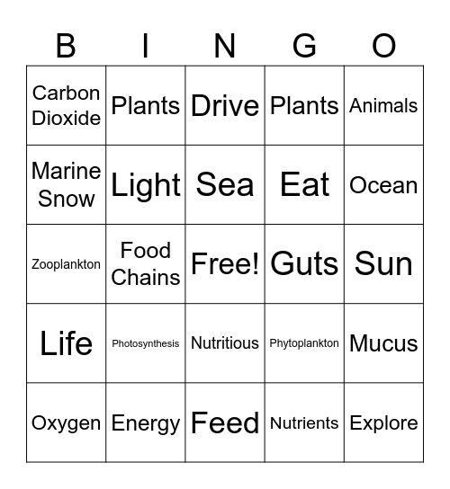 Ocean Sunlight Bingo Card