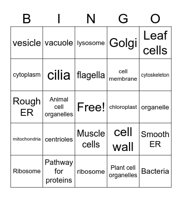 Cells 2025 Bingo Card