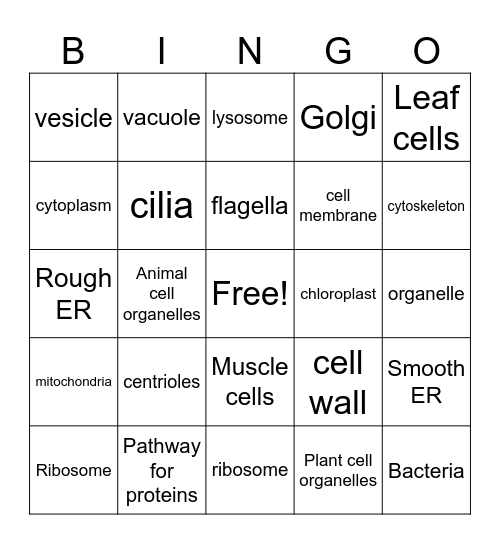 Cells 2025 Bingo Card