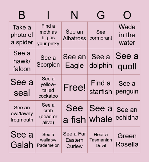 ♡ Scamander ♡ Bingo Card