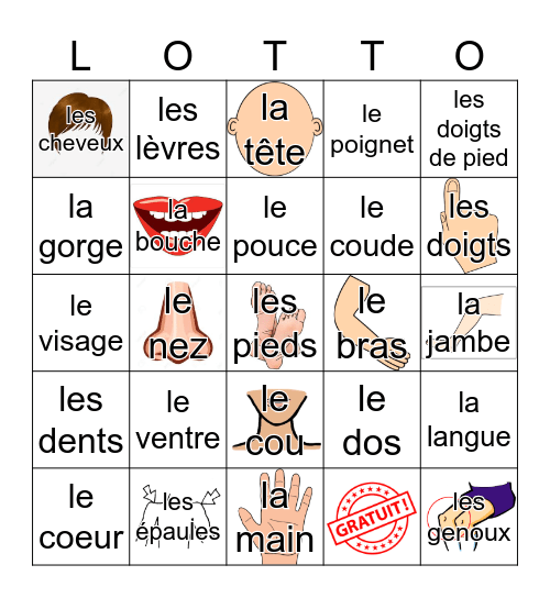 Les Parties du Corps Bingo Card