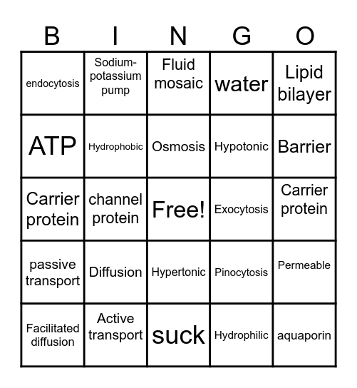 Cell Transport Review Bingo Card