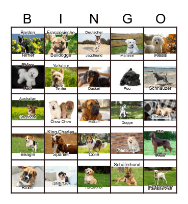 Dogs Bingo Card