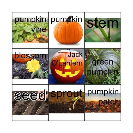 Pumpkin Jack Bingo Card