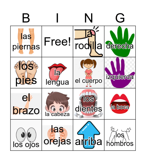 Partes del Cuerpo Bingo Card