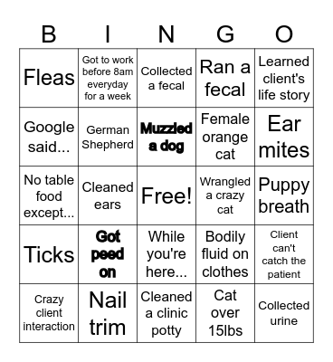 Vet Tech Week Bingo Card
