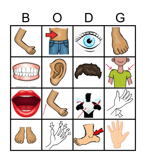 BODY PARTS no word 4x Bingo Card
