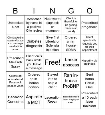 Healthy Paws DVM BINGO Card