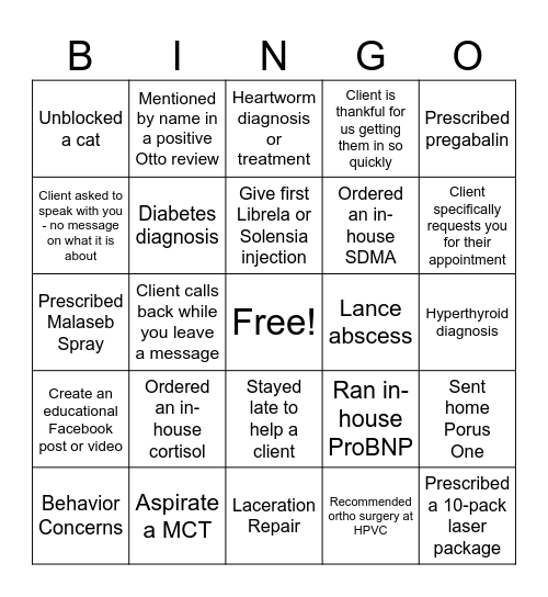 Healthy Paws DVM BINGO Card