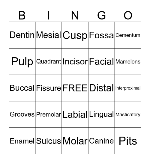 Dental Anatomy  Bingo Card