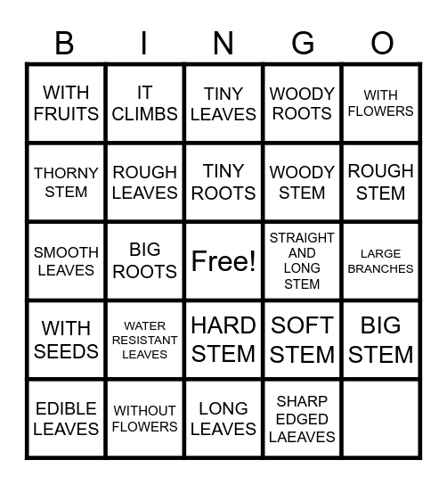 CHARACTERISTICS OF PLANTS Bingo Card