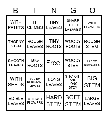 CHARACTERISTICS OF PLANTS Bingo Card