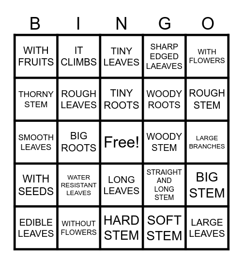 CHARACTERISTICS OF PLANTS Bingo Card