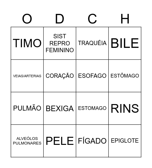 ORGÃOS DO CORPO HUMANO Bingo Card