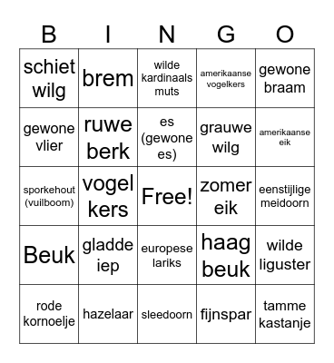 Plantenbingo Card
