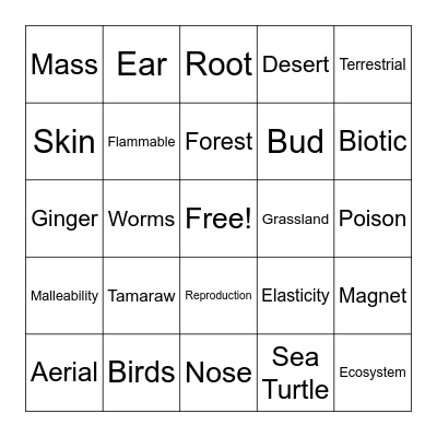 SCIENCE BINGO Card